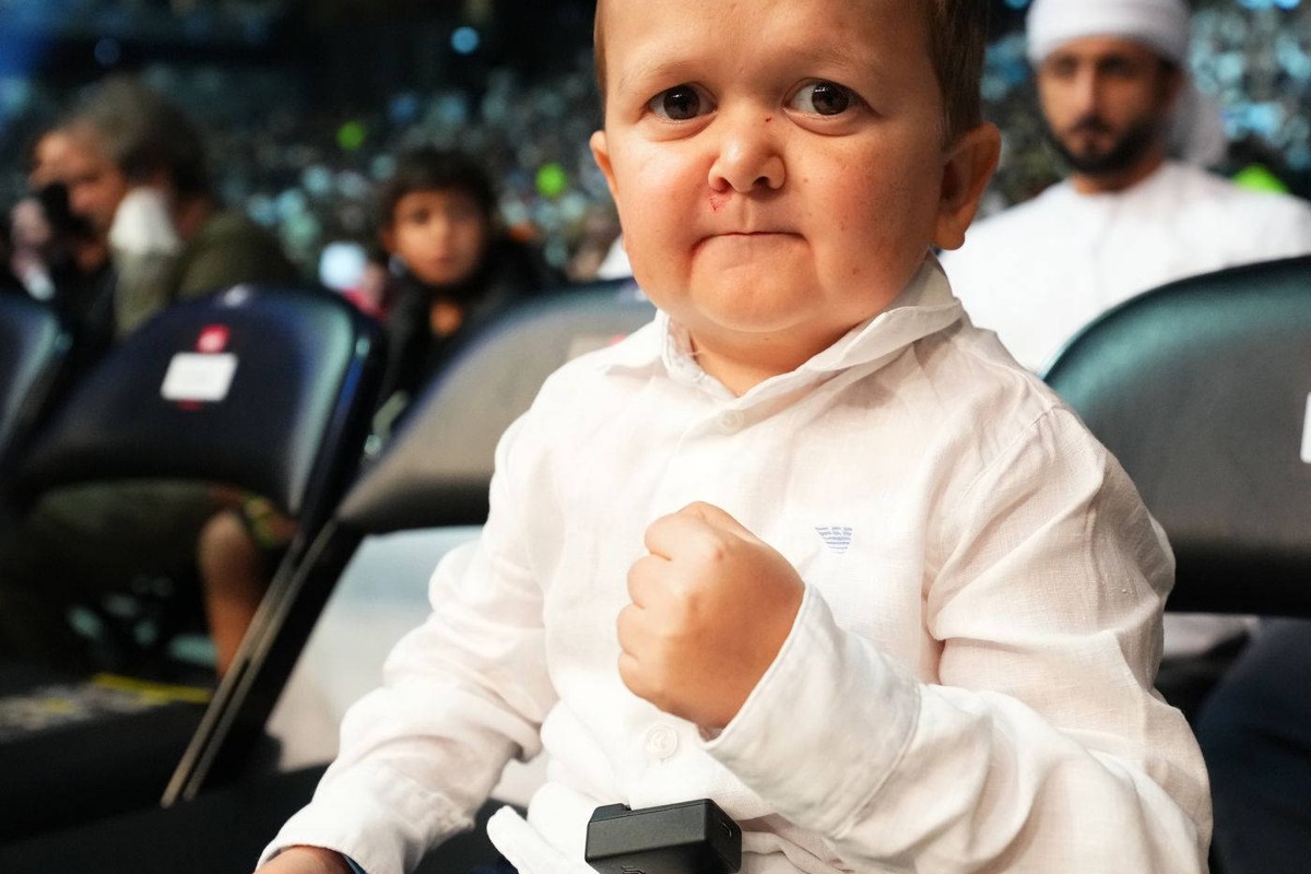 fortune hasbulla (7)