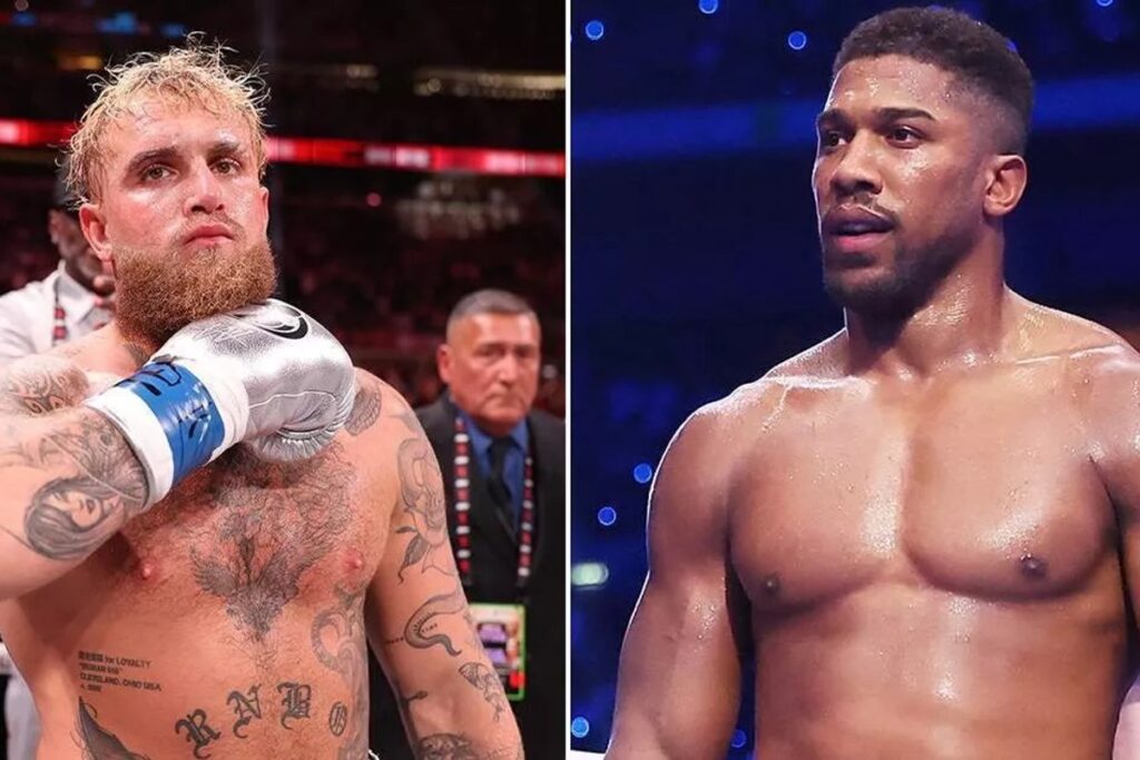 jake paul vs joshua (3)