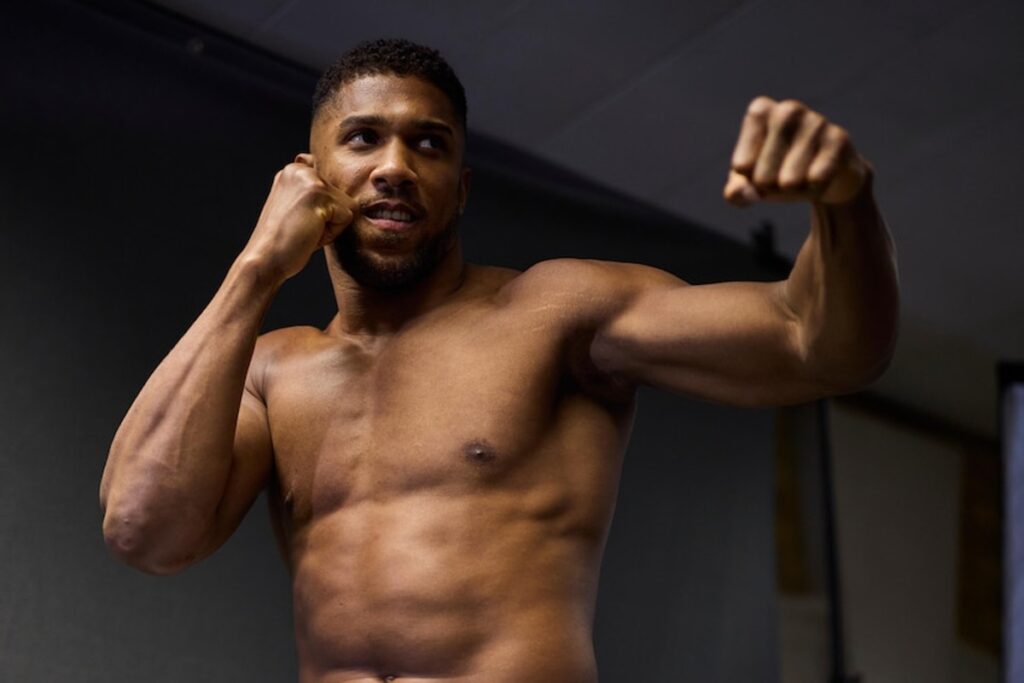 palmares anthony joshua (6)
