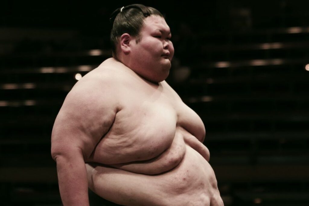 plus gros sumo monde (3)