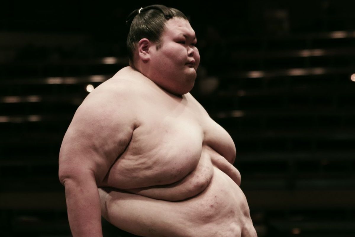 plus gros sumo monde (3)