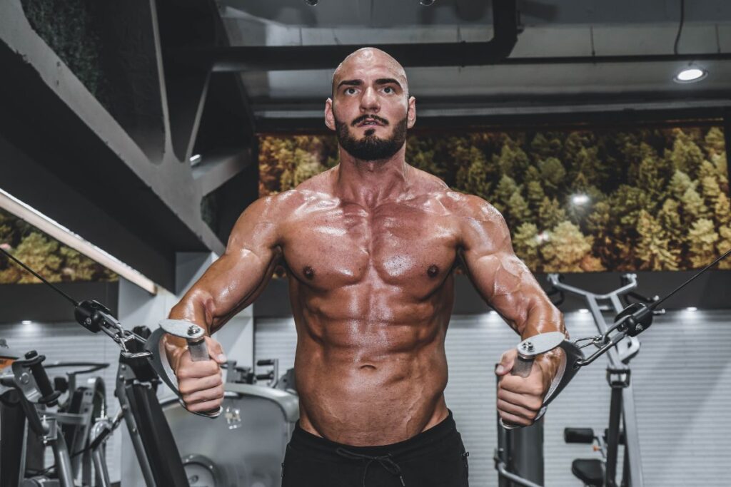 anatomie pectoraux (3)