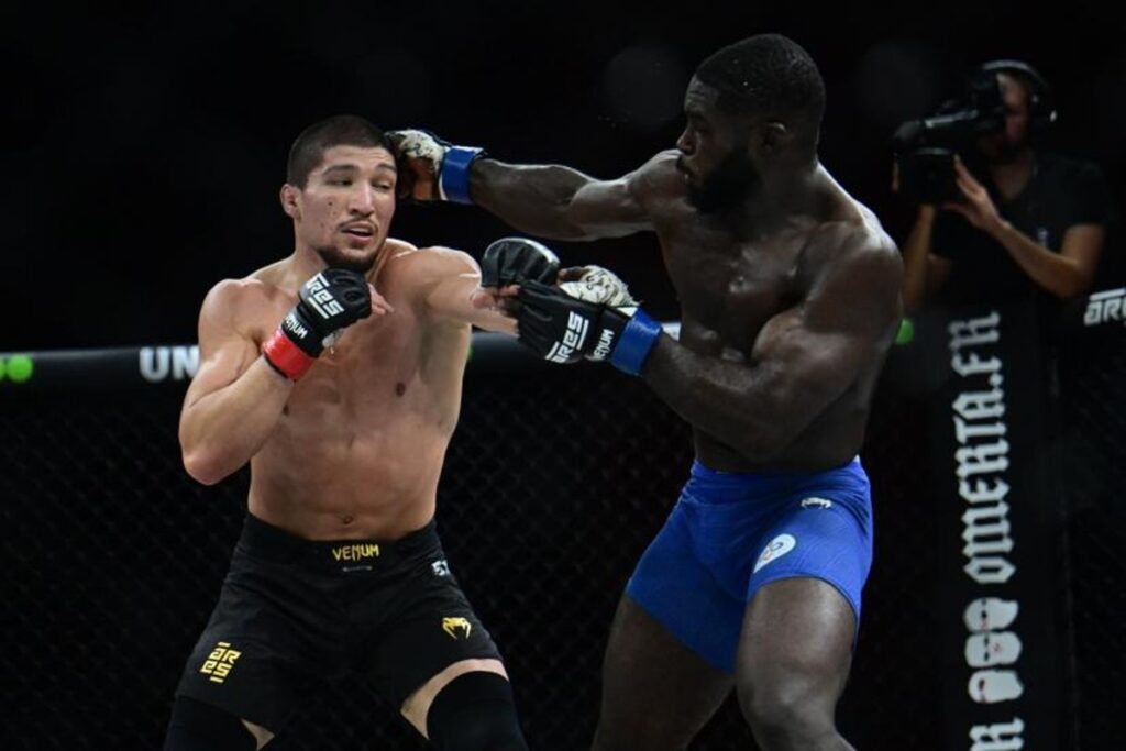 jordan zebo origine (5)