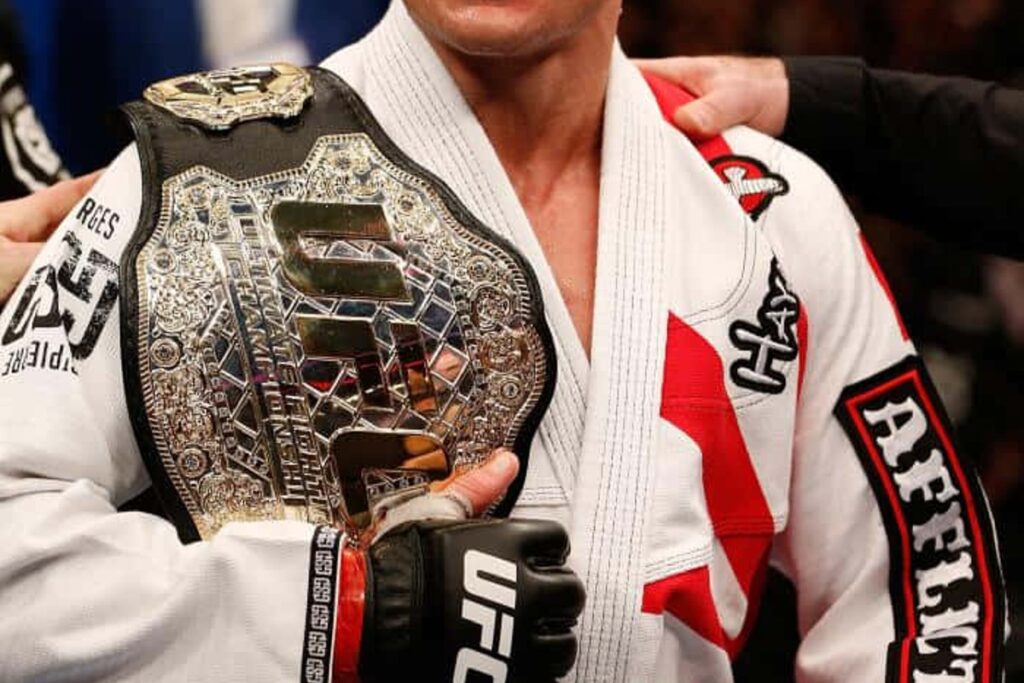 palmares georges saint pierre (2)