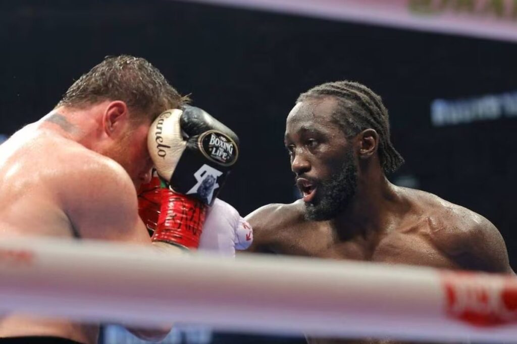 camelo alvarez prochain combat (1)