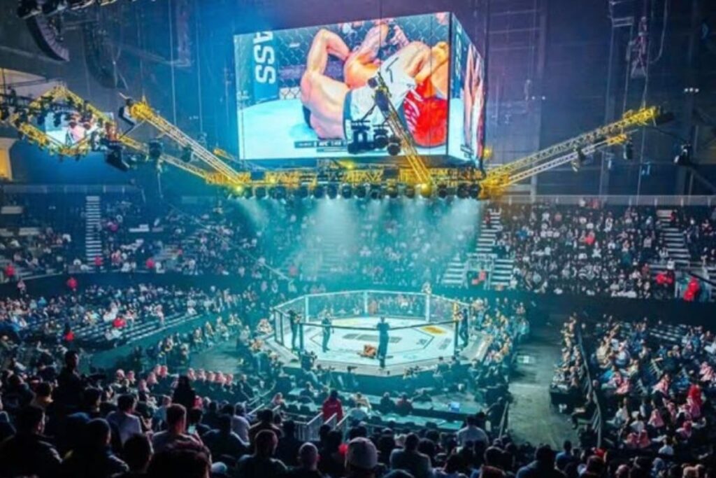 ufc mexico telegram (1)