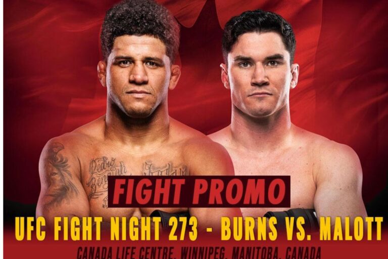 UFC Fight Night 273 – Burns vs. Malott : Analyse complète de la carte