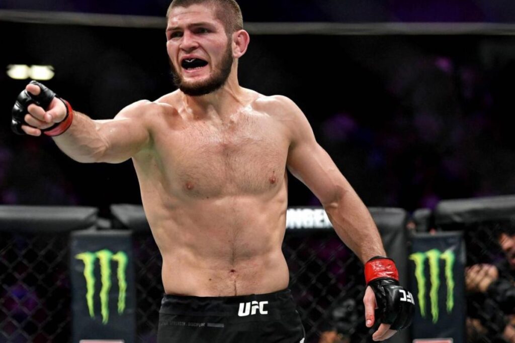 fortune khabib (1)