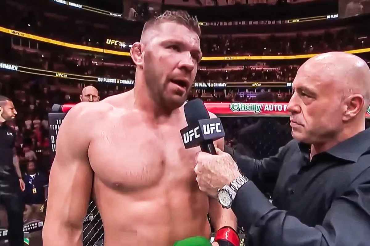 ufc 281 carte