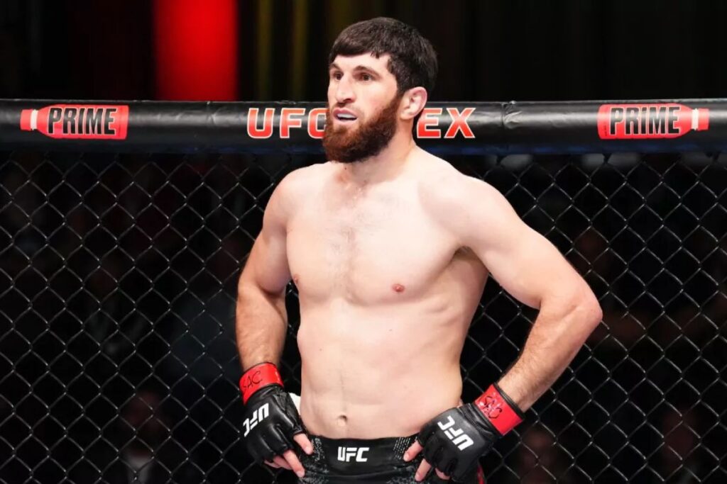 ufc 282 carte (1)