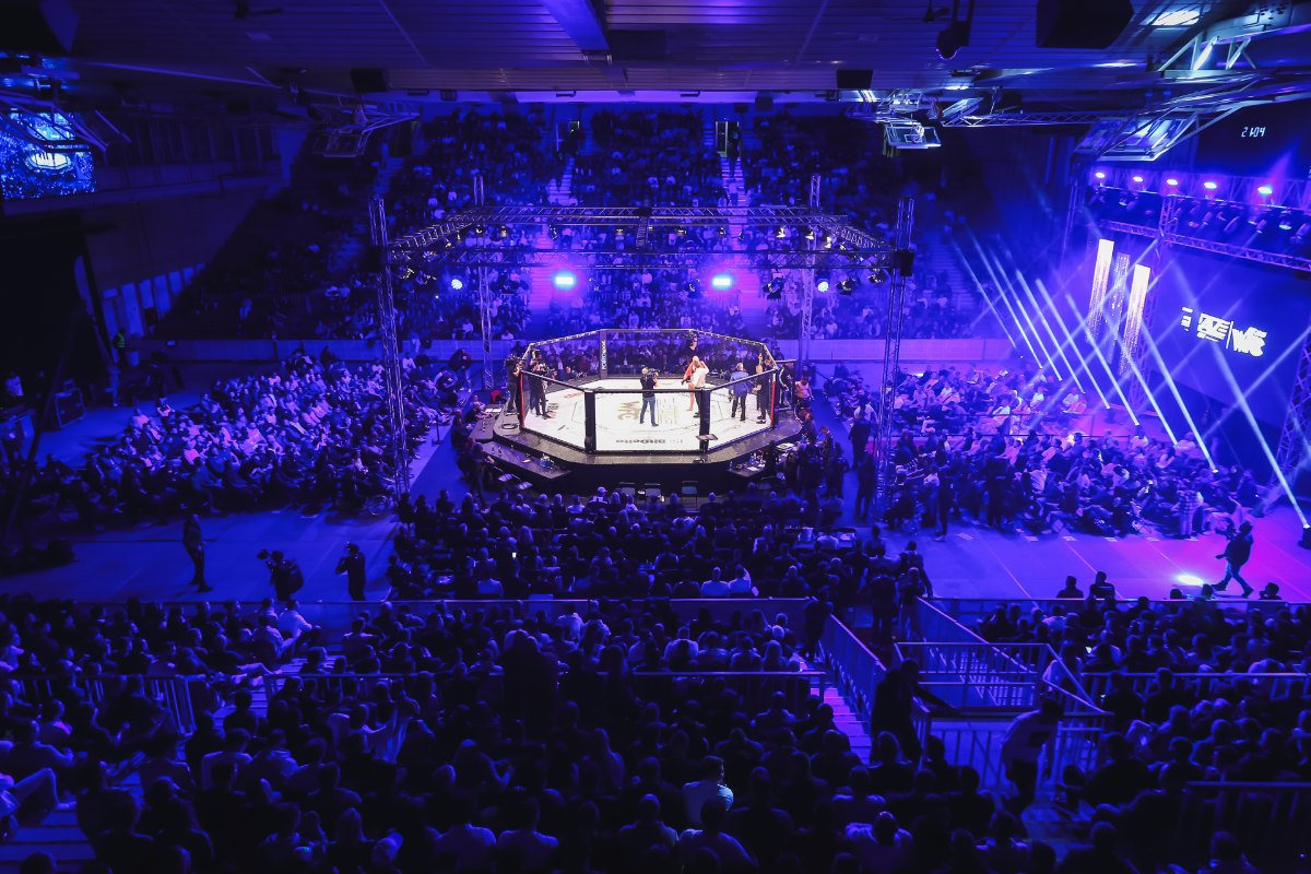 Cage de MMA éclairée avant une soirée de combats retransmise en direct