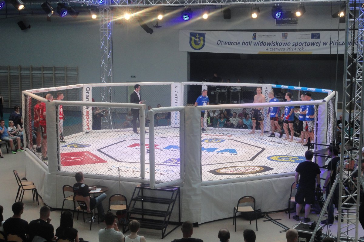 Cage octogonale de MMA, théâtre de la trilogie Yan-Dvalishvili